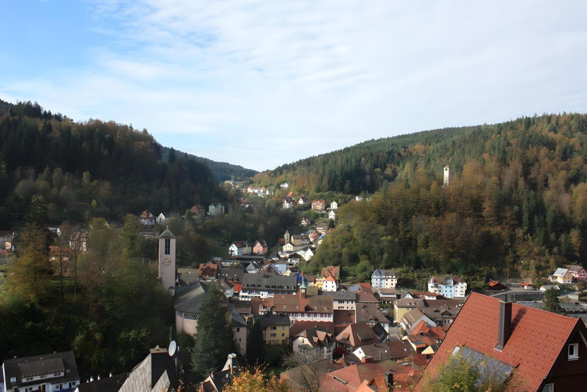 Ferienwohnung King Triberg im Schwarzwald Eksteriør billede