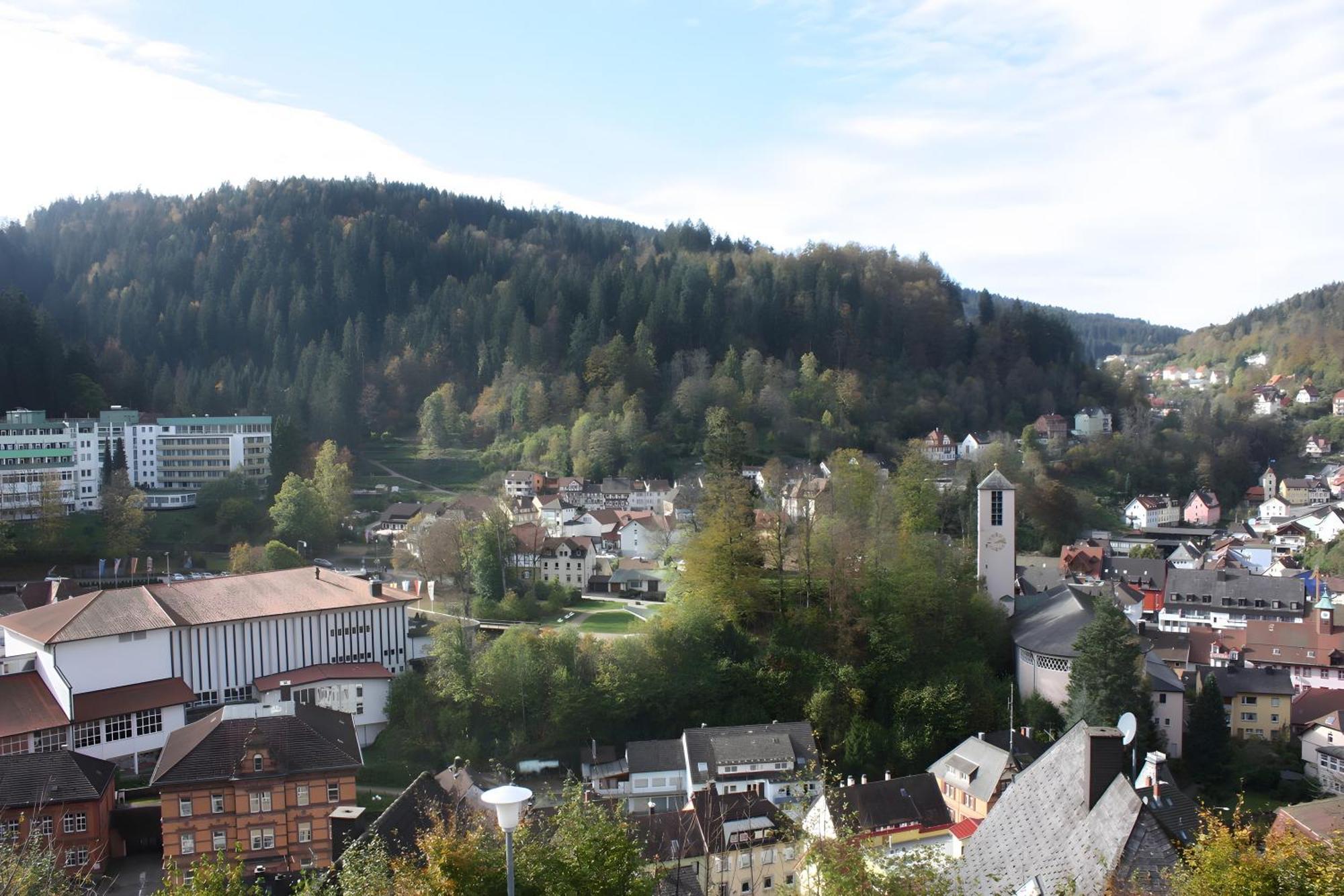 Ferienwohnung Mit Ca 60Qm Triberg im Schwarzwald Eksteriør billede