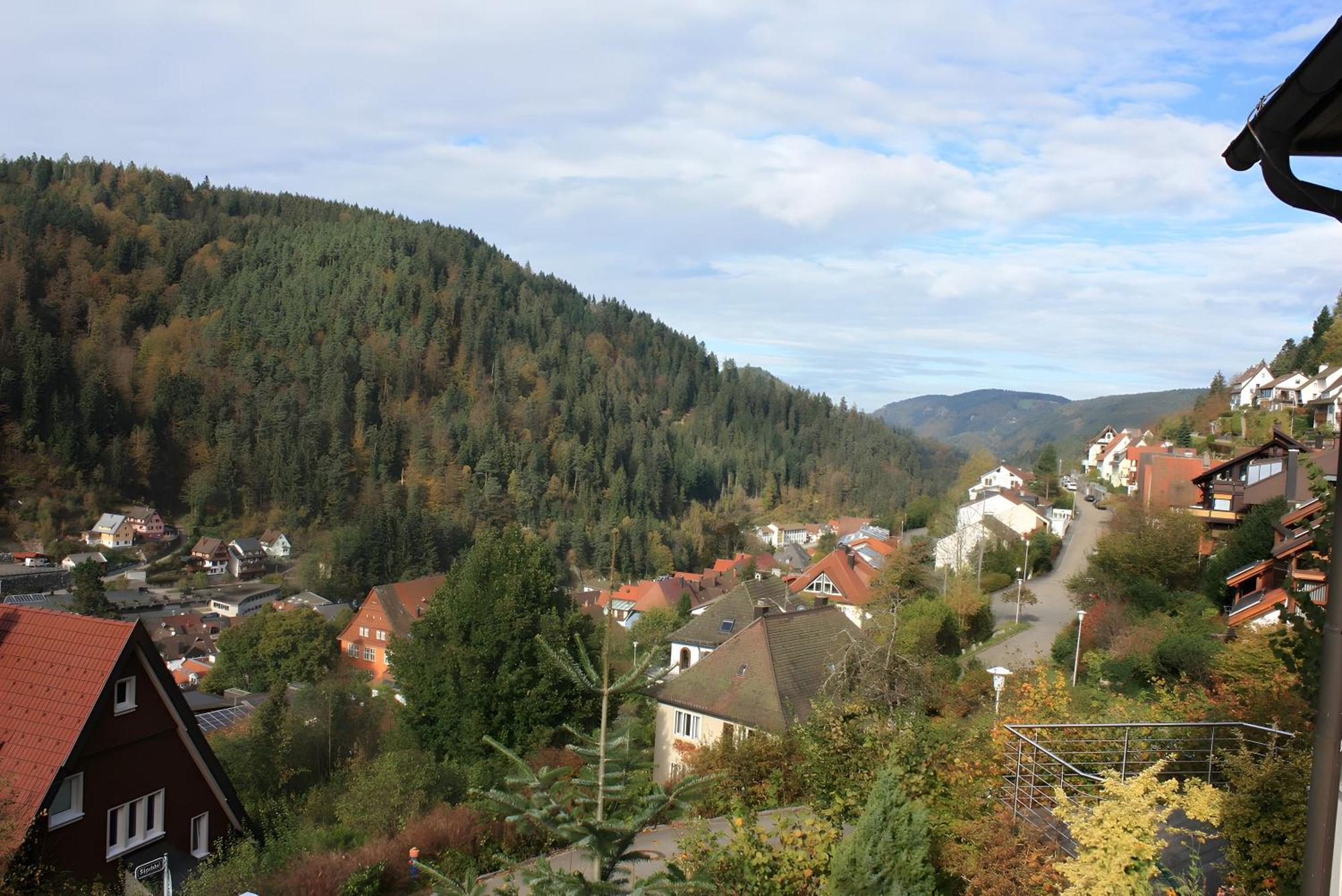 Ferienwohnung King Triberg im Schwarzwald Eksteriør billede